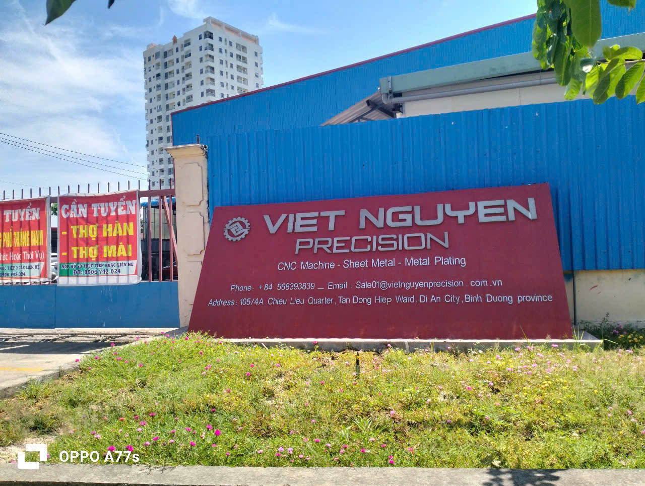 lĩnh vực hoạt động